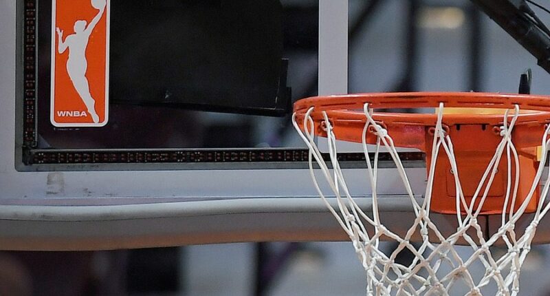 How does the WNBA deal with sex-toy throwers? What to know about arrests and security