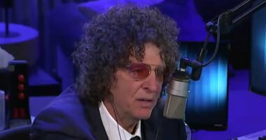 Howard Stern's audacious comeback plan for new show
