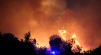Forest fire at night.