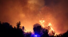 Forest fire at night.