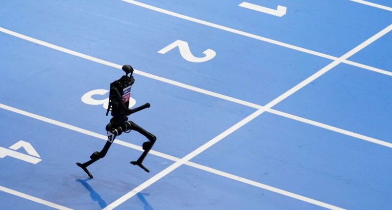 Humanoid robots shine but still need human touch at World Humanoid Robot Games