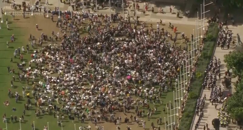 Hundreds of anti-Israel protestors arrested in London for supporting group banned under terrorism law
