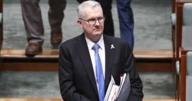 Minister for Home Affairs, Minister for Immigration and Citizenship, Minister for Cyber Security, Minister for the Arts and Leader of the House Tony Burke arrives for Question Time at Parliament House in Canberra on Thursday 28 August 2025. fedpol Photo: Alex Ellinghausen