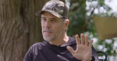 Hunter Biden hurls expletives when asked to apologize to Melania Trump