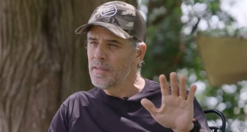 Hunter Biden hurls expletives when asked to apologize to Melania Trump