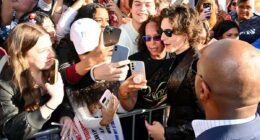 I know exactly what's wrong with Club Chalamet