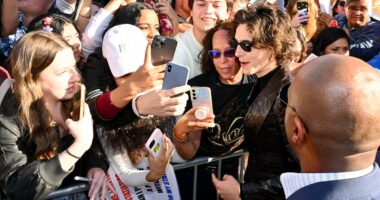I know exactly what's wrong with Club Chalamet
