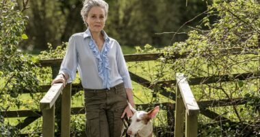 I moved to the 'new Cotswolds' after nearly 40 years in the city