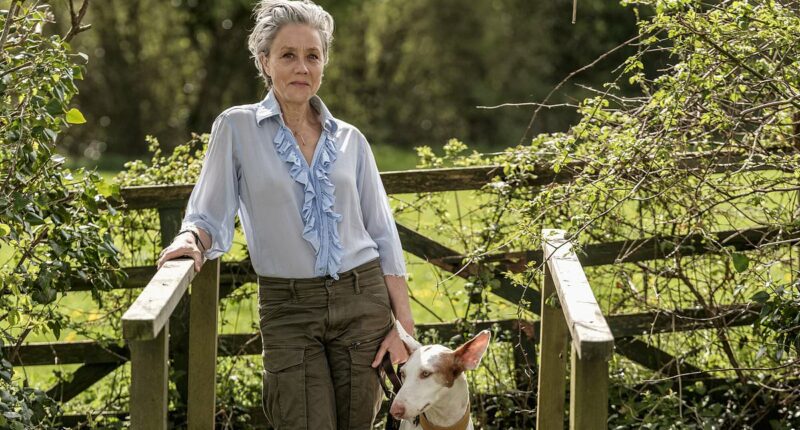 I moved to the 'new Cotswolds' after nearly 40 years in the city