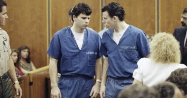 I testified in Menendez brothers' trial. Their drawings hold the key