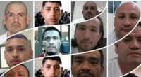 ICE HOUSTON: 350 Criminal Alien Gang Members with 1,400 Deportations, 1,700 Crimes