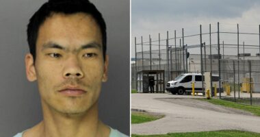 ICE detainee found 'hanging by the neck' at Pennsylvania detention center