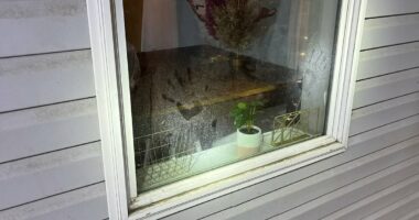 Idaho murders crime scene photos seen after Bryan Kohberger sentencing