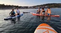 Idiotic tourists crowd round dolphin despite warnings to stay away