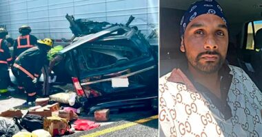 Illegal immigrant trucker accused of killing three people failed English, road sign tests: DOT