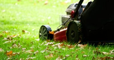 Illinois man poses as lawn care worker, steals $330K from elder