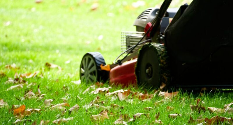 Illinois man poses as lawn care worker, steals $330K from elder
