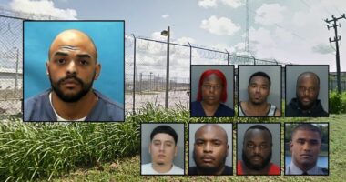 Inmate gets his head 'sunken in' by jail officers: Mom, cops