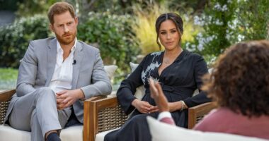 Inside Meghan Markle's desire for both 'world fame' and 'privacy', and how this massively backfired, royal author claims