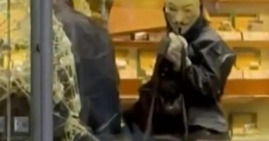 Person in Guy Fawkes mask during Ginza robbery.