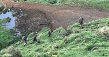 The latest plea comes almost a year after pig shooters filmed Tom Phillips and his children in bushland west of Marokopa last October (above) walking in single file