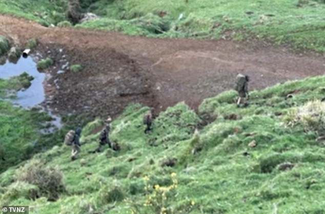 The latest plea comes almost a year after pig shooters filmed Tom Phillips and his children in bushland west of Marokopa last October (above) walking in single file