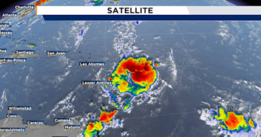 Invest 99L continues to organize
