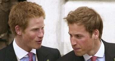Is Prince Louis following in Prince Harry's comedic footsteps? The young royal shares a sense of humour with the Duke of Sussex and the late Queen