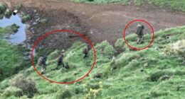 For the past three years and eight months, Tom Phillips, 38, has been on the run, hiding out in the wilds of New Zealand. With him are his three children, Jayda, 12, Maverick, ten, and Ember, nine. Pictured: An image of what is believed to be the missing family, taken by a hunter