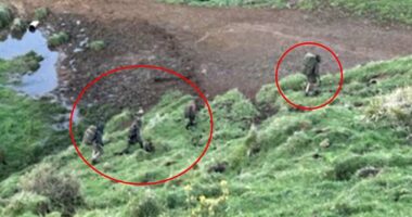 For the past three years and eight months, Tom Phillips, 38, has been on the run, hiding out in the wilds of New Zealand. With him are his three children, Jayda, 12, Maverick, ten, and Ember, nine. Pictured: An image of what is believed to be the missing family, taken by a hunter