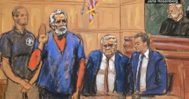 Ismael 'El Mayo' Zambada, who led Sinaloa cartel with Joaquin 'El Chapo' Guzman, pleads guilty in US