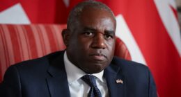 Israeli ambassador hits back after Labour blasted  settlement plan