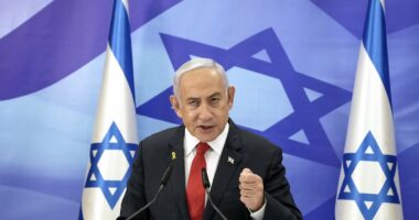 Israeli security cabinet approves Netanyahu's plan to occupy Gaza