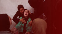 Israel's Data Reveals 83% Civilian Kill Rate in Gaza Genocide