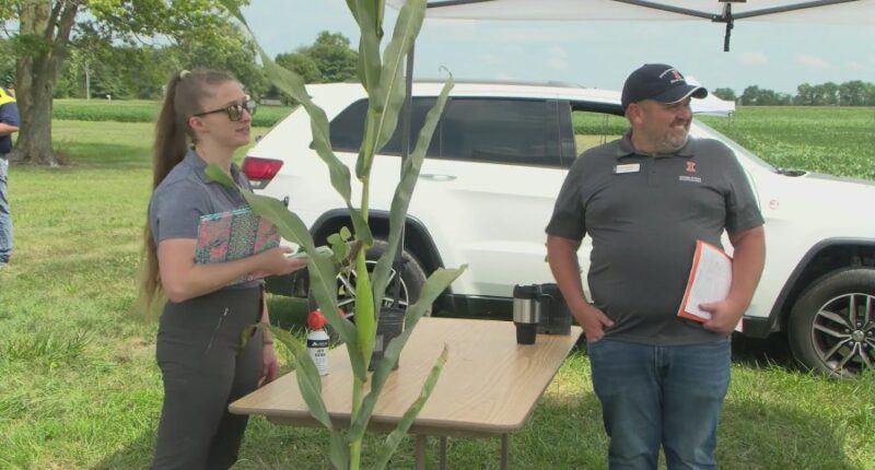 It pays to know about agriculture: Champaign hosts youth crop competition