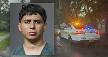 JSO: Son of woman fatally stabbed on Peach Drive arrested