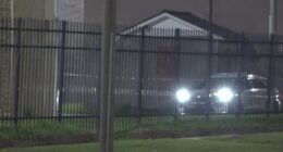 JSO: Teen shot, killed at Hollybrook Homes Apartments on King Street