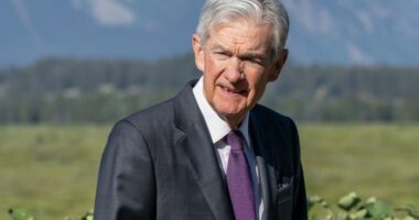 Jay Powell walks outdoors in a suit and purple tie, with greenery and mountains in the background.