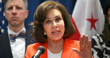 Jeanine Pirro says people who carry rifles, shotguns in DC will no longer face felony charges