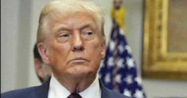 Jet2holidays responds to White House's use of popular meme: 'Very disappointed'