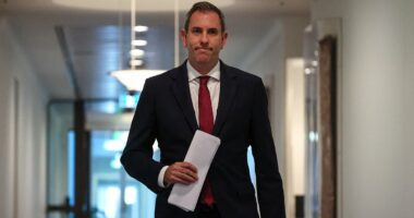 Jim Chalmers refuses to rule out drastic change for property owners