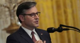 Johnson pressed on whether National Guard should be sent to his Louisiana district