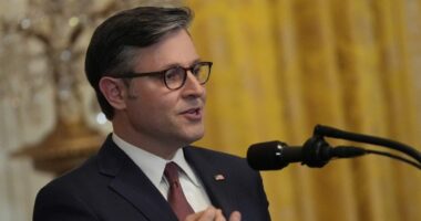 Johnson pressed on whether National Guard should be sent to his Louisiana district
