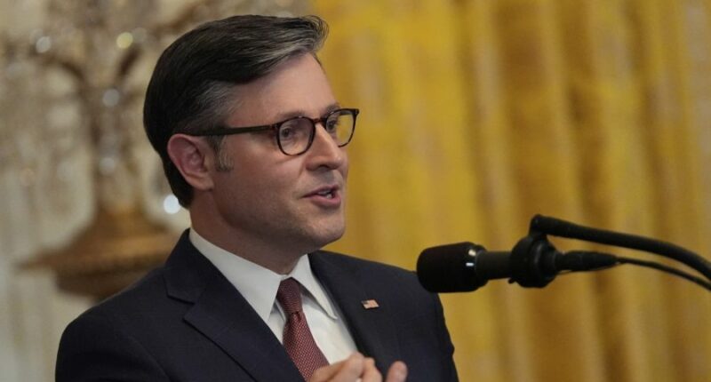 Johnson pressed on whether National Guard should be sent to his Louisiana district
