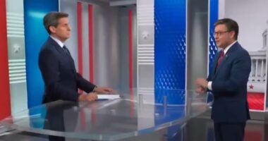 Johnson pushes back on polls on Trump's domestic agenda