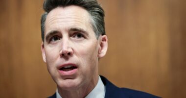 Josh Hawley is ruffling GOP feathers as he stakes out his ground: From the Politics Desk