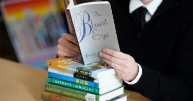 Judge rules part of Florida's school book law is unconstitutional