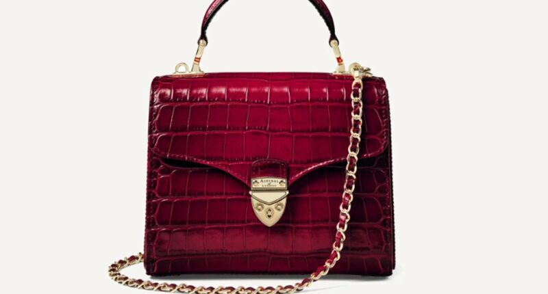 Kate Middleton's favourite handbag brand collaborates with Princess Diana's nieces on chic campaign - and pieces are set to sell out