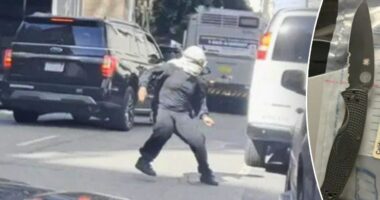 Keffiyeh-clad anti-ICE protester threatens to stab agent, harm family in San Francisco mob attack