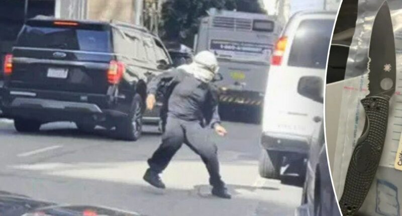 Keffiyeh-clad anti-ICE protester threatens to stab agent, harm family in San Francisco mob attack